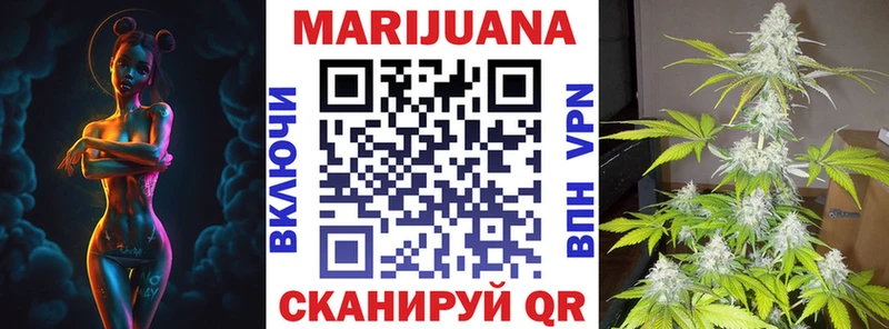где найти   Чегем  Бошки марихуана гибрид 